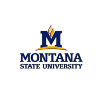 Montana State university